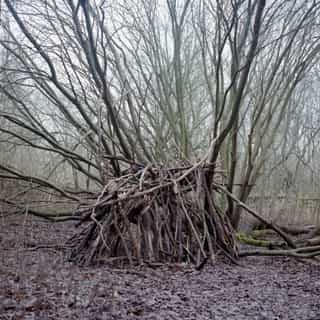 The Unacted