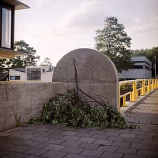 Pile of cut green branches against a concrete wall on a paved suburban walkway